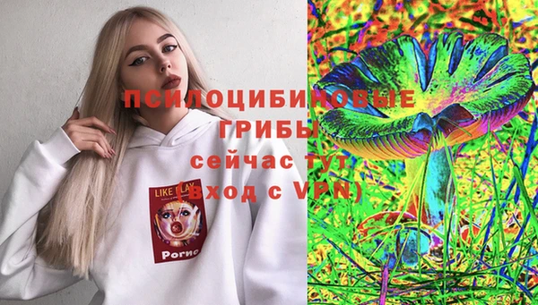 Альфа ПВП Абаза