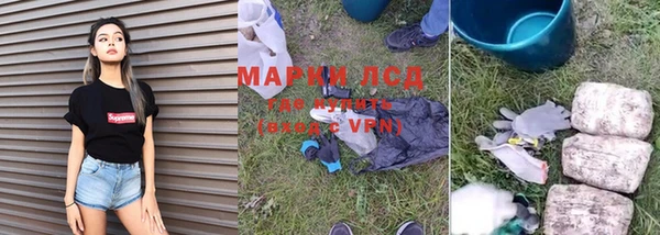 стаф Абинск