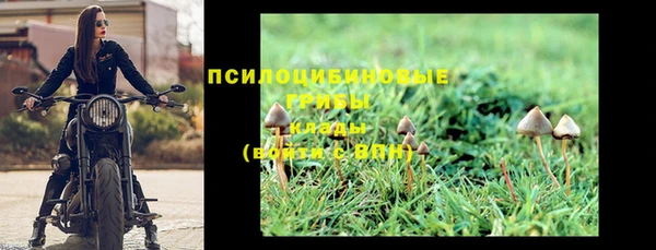 стаф Абинск