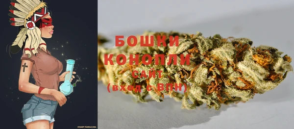 МДПВ Саяногорск