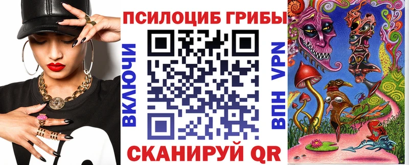 где найти наркотики площадка какой сайт Псилоцибиновые грибы Cubensis Алзамай